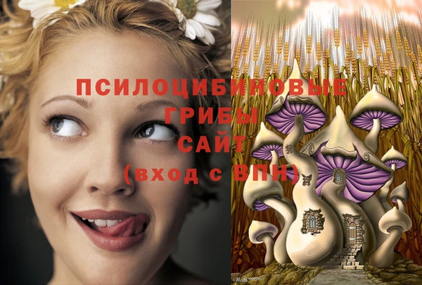 соль ск Нефтекумск