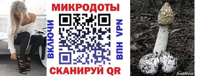 Псилоцибиновые грибы Cubensis  Купить  Малоярославец 